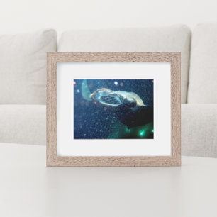 Dive med Manta Rays - Big Island Poster