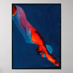 Diver 2011 poster