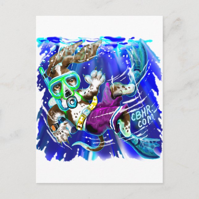 Diver Hund Vykort (Framsida)