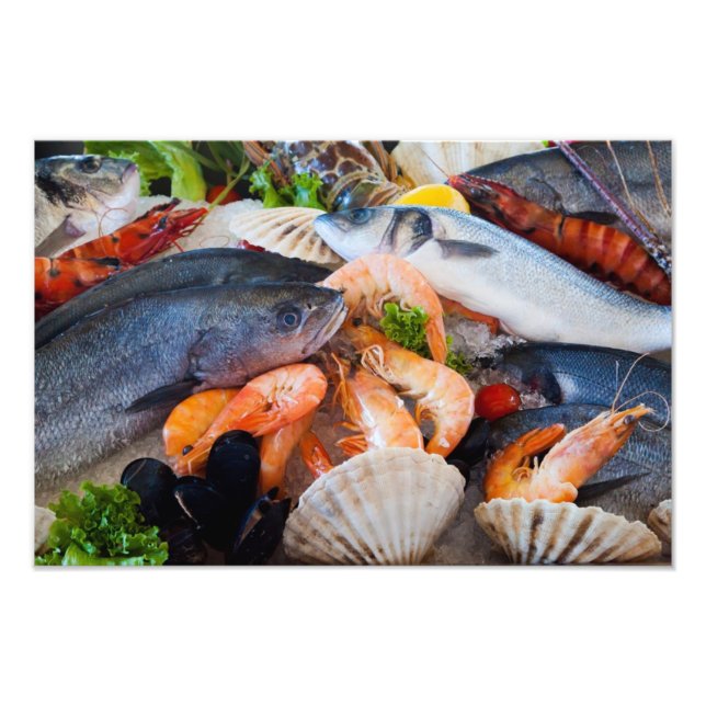 Diverse Skaldjur Fototryck (Framsidan)