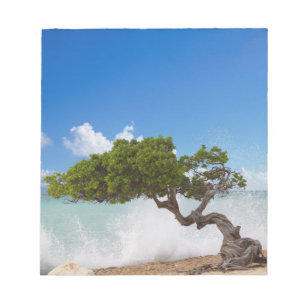 Divi Divi-träd, Eagle Beach, Aruba, Karibien Anteckningsblock