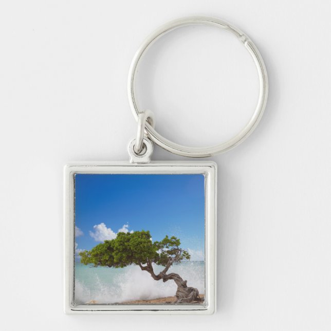 Divi Divi-träd, Eagle Beach, Aruba, Karibien Fyrkantig Silverfärgad Nyckelring (Framsidan)