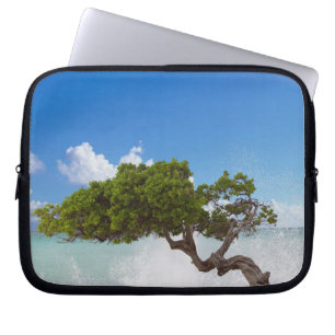 Divi Divi-träd, Eagle Beach, Aruba, Karibien Laptop Fodral