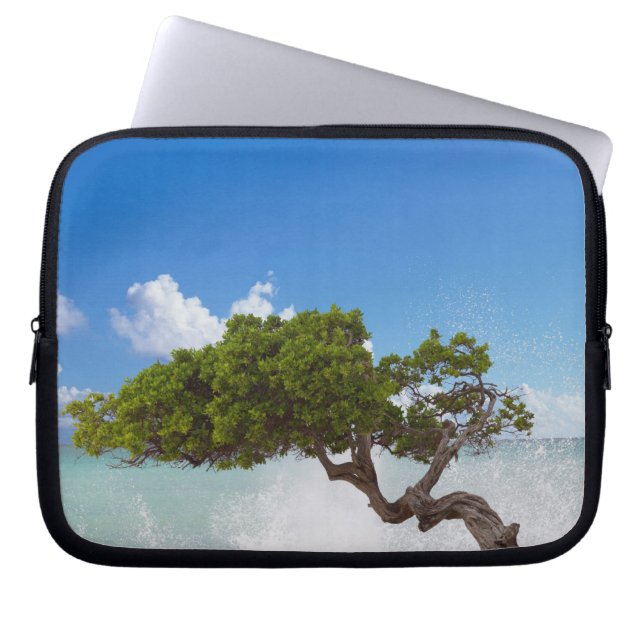 Divi Divi-träd, Eagle Beach, Aruba, Karibien Laptop Fodral (Framsidan)