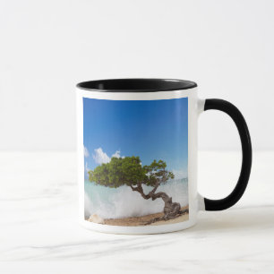 Divi Divi-träd, Eagle Beach, Aruba, Karibien Mugg