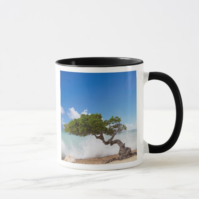 Divi Divi-träd, Eagle Beach, Aruba, Karibien Mugg (Höger)