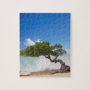 Divi Divi-träd, Eagle Beach, Aruba, Karibien Pussel
