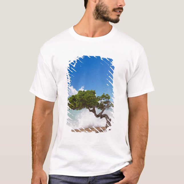 Divi Divi Träd, Eagle Beach, Aruba, Karibien T Shirt (Framsida)