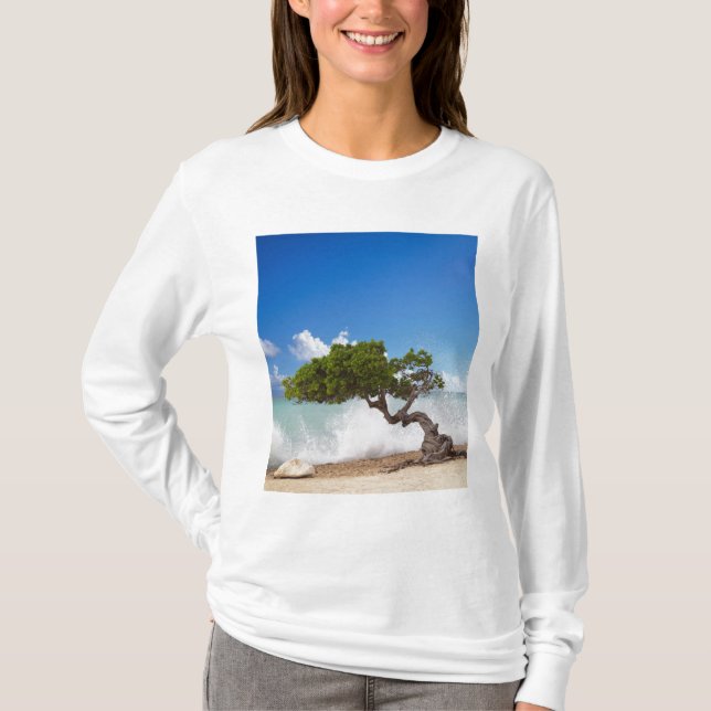 Divi Divi-träd, Eagle Beach, Aruba, Karibien Tee (Framsida)