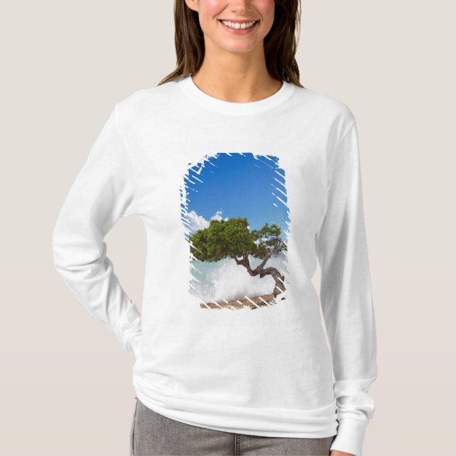 Divi Divi-träd, Eagle Beach, Aruba, Karibien Tee (Framsida)
