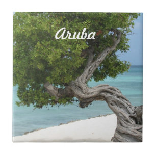 Divi Divi träd i Aruba Kakelplatta