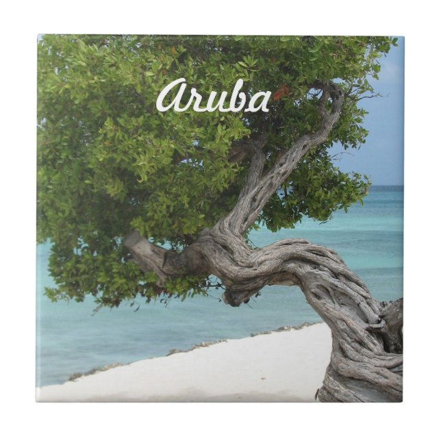 Divi Divi träd i Aruba Kakelplatta (Framsidan)