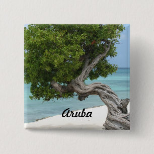 Divi Divi träd i Aruba Knapp