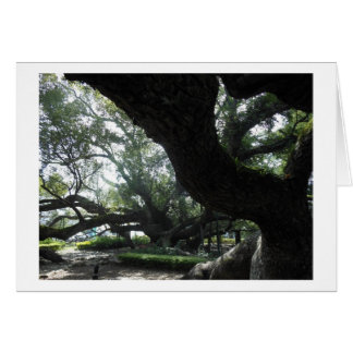 Divine Träd Card OBS Kort