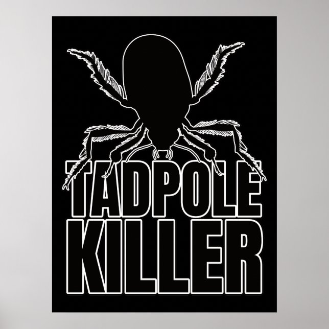 Diving Beetle Beetles Tadpole Killer - Entomologi Poster (Framsidan)