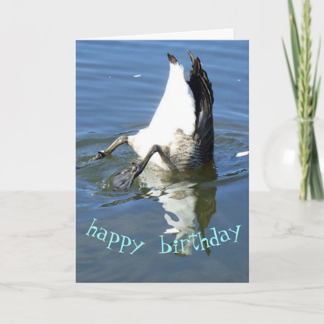 Diving goose Birthday Kort (Framsida)