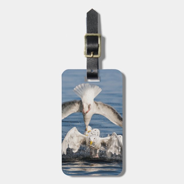 Diving Gulls Bagagebricka (Vertikal Framsida)