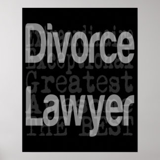 Divorce Lawyer Extraordinaire Poster