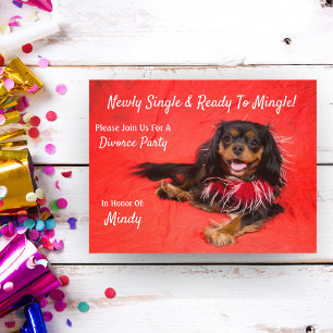 Divorce Party Cavalier Kung Charles Spain Inbjudan Vykort