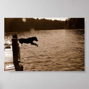 Dixie hoppar av dockan poster