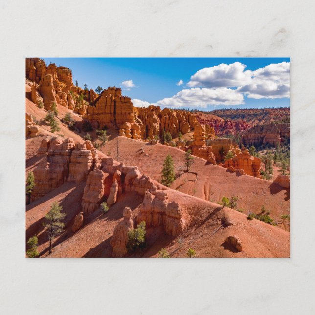 Dixie National Forest Landcape Photo Postcard Vykort (Framsida)