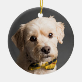 DIY Anpassningsbar Photo jul Julgransprydnad Keramik