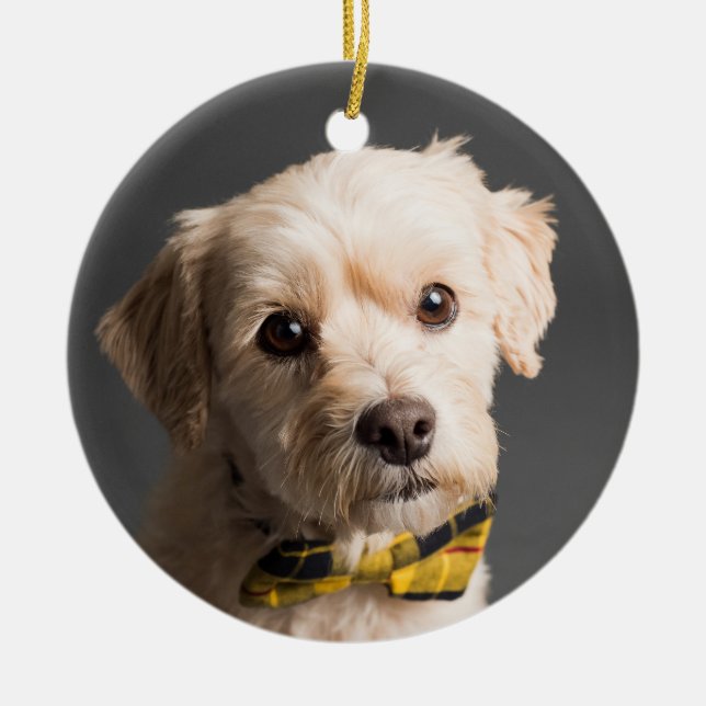 DIY Anpassningsbar Photo jul Julgransprydnad Keramik (Framsidan)