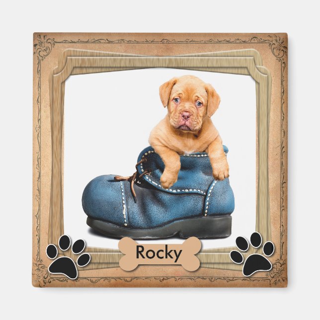 DIY Family Pet Photo Magnet (Framsidan)