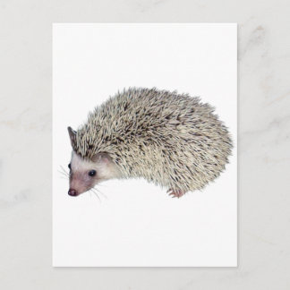 DIY Hedgehog lämnat Vykort
