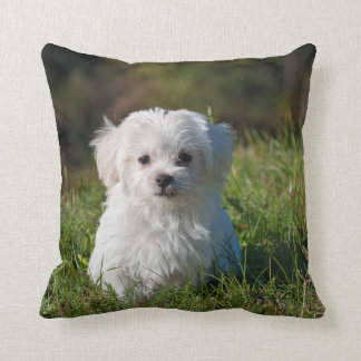 DIY - Skriv ut på en PILLOW - Lägg till bild och t Kudde