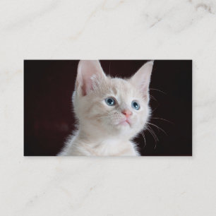 DIY-Upload din tomma fotoanpassningsbar Visitkort