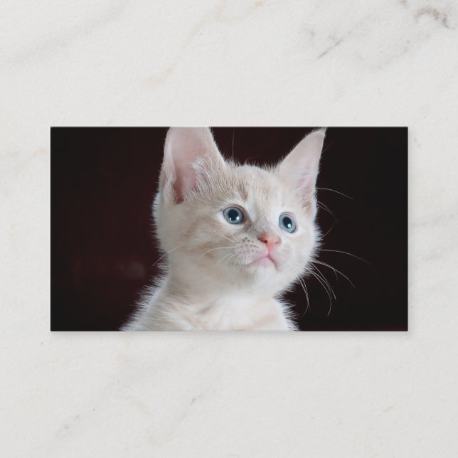 DIY-Upload din tomma fotoanpassningsbar Visitkort (Framsida)