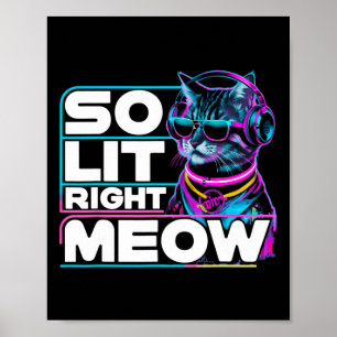 Dj Cat so lit Höger Meow Edm Techno Rave Party Fes Poster
