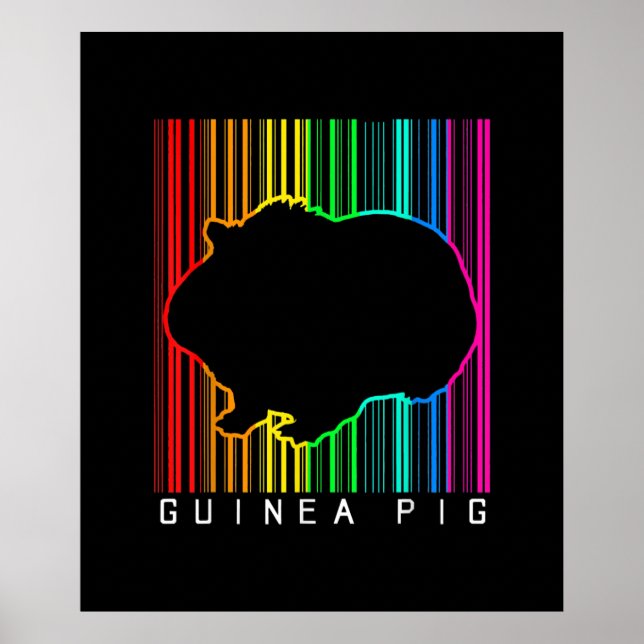 DJ Guinea Gris Techno Edm Animal Rave Star Rainbow Poster (Framsidan)