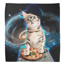 dj katt - rymdkatt - kattpizza - söta katter