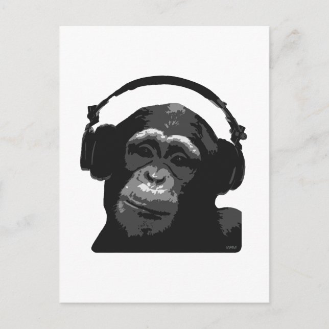 DJ MONKEY VYKORT (Framsida)