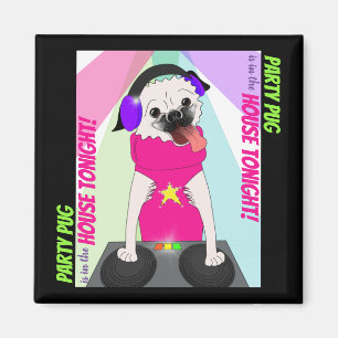 DJ Pug: Party Pug är i kammaren i kväll Magnet