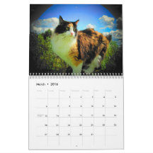 DJ:s berättelser av djoneill