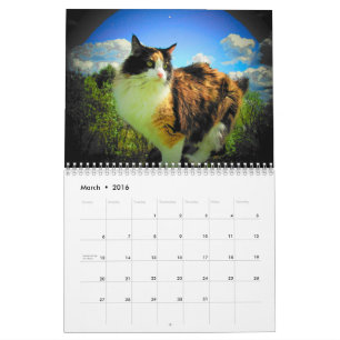 DJ:s berättelser av djoneill Kalender