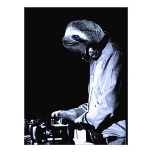 DJ Sloth Photo Print Fototryck