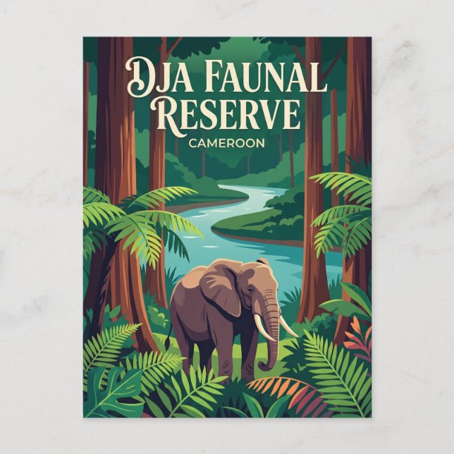 Dja Faunal Reserve Kamerun Vykort (Framsida)