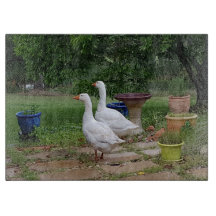 Djävulen duckar den Glass skärbrädan