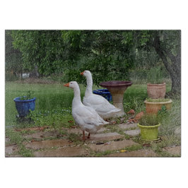 Djävulen duckar den Glass skärbrädan