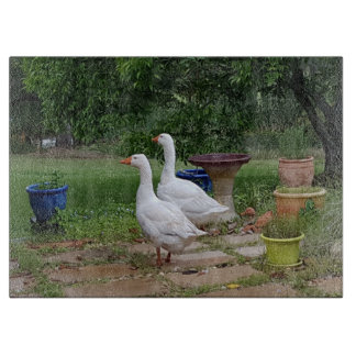 Djävulen duckar den Glass skärbrädan