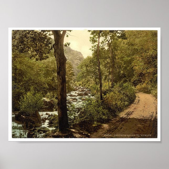 Djävulen Glen, Ashford, County Wicklow Ireland Poster (Framsidan)