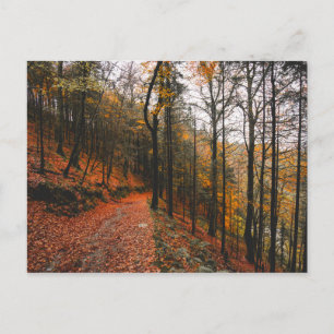 DJÄVULEN GLEN, WICKLOW MOUNTAINS, IRLAND VYKORT