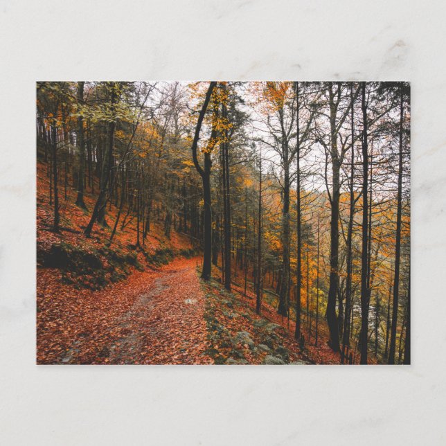 DJÄVULEN GLEN, WICKLOW MOUNTAINS, IRLAND VYKORT (Framsida)