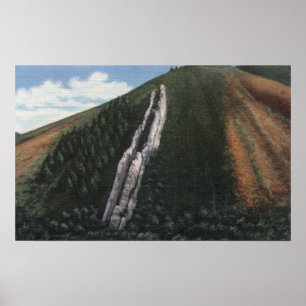 Djävulen glidbana nära denWyoming gränsen Poster
