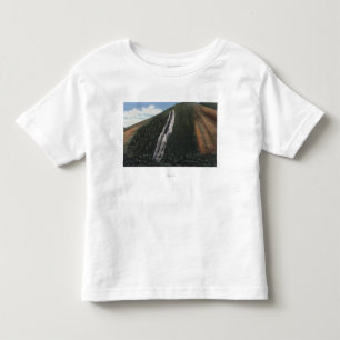 Djävulen glidbana nära denWyoming gränsen Tee Shirt