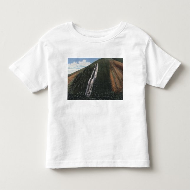 Djävulen glidbana nära denWyoming gränsen Tee Shirt (Framsida)